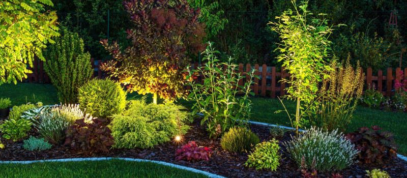 Landscape Light Services in Greenville, South Carolina