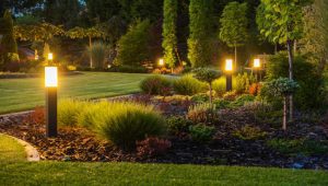 Types of Landscape Lights